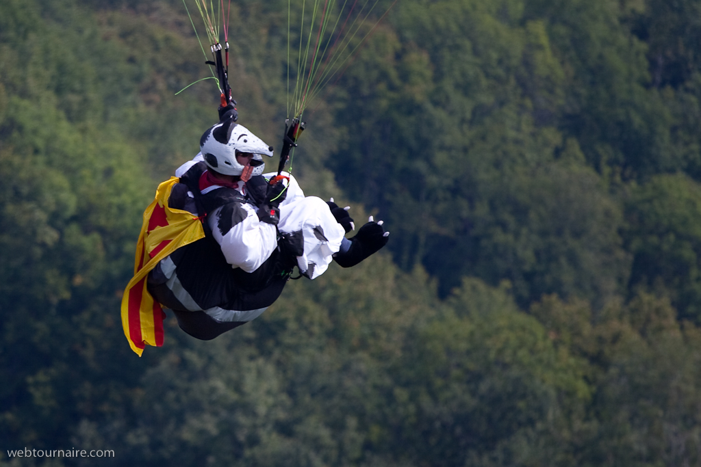 Les moutons d'Organya