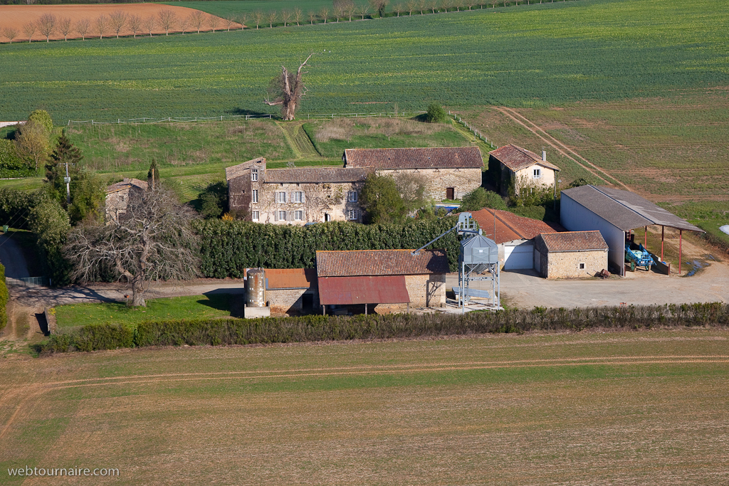 Grande Fougère - Deux Sèvres - 79