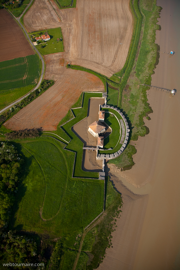 Lupin - Charente maritime - 17
