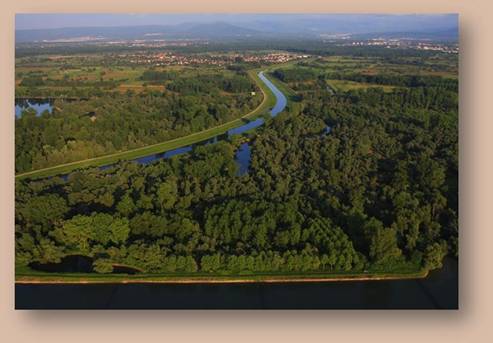 01-le Rhin (13).JPG